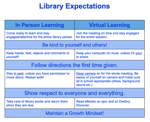 Library expectations